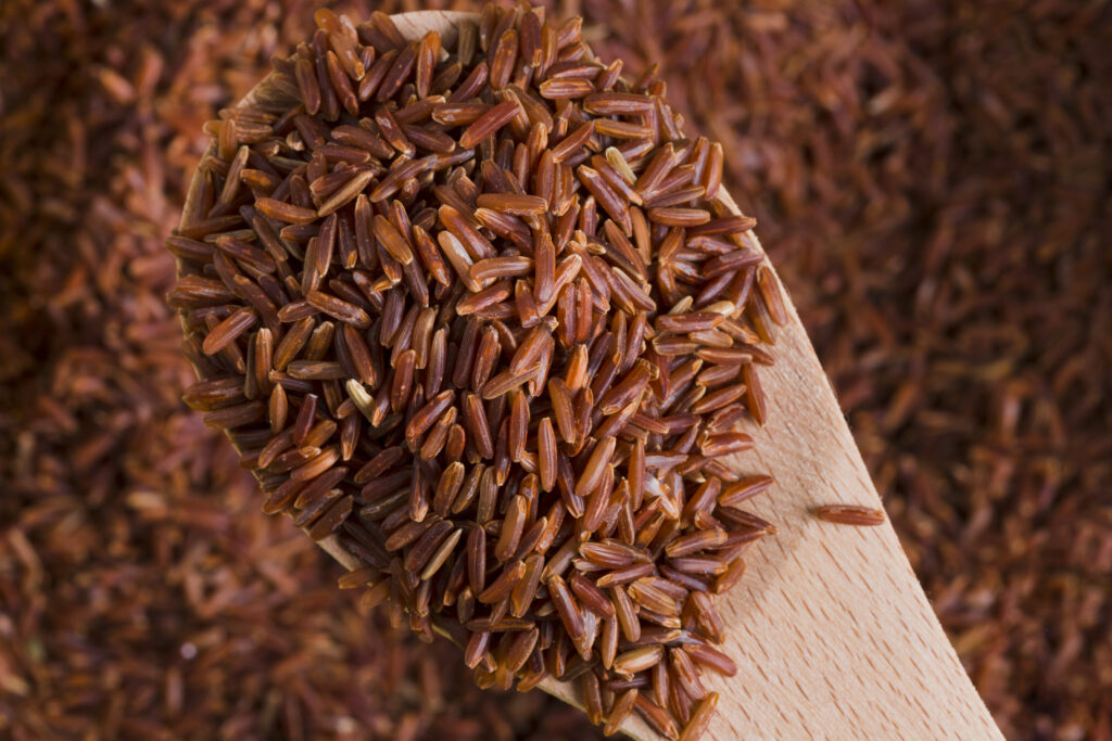 A wooden spoon filled with red rice, highlighting its potential cancer-fighting properties in agricultural research.
