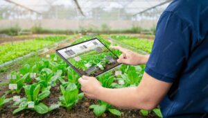 कम खर्च में ज़्यादा पैदावार का राज – सटीक खेती (Precision Farming) क्या है?